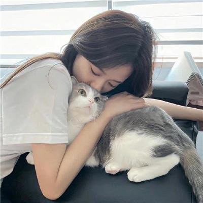 粉红蝴蝶