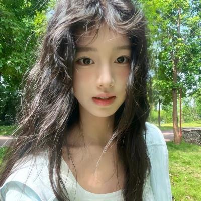 西部战线